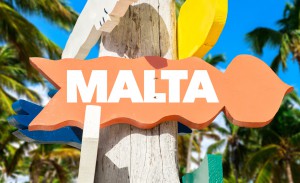 Malta signpost with palm trees